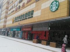-高新·活力城Village
