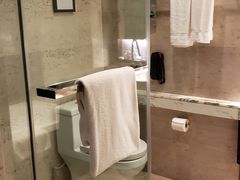 -上海龙之梦万丽酒店