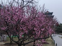 -北京明城墙遗址公园