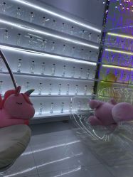 点击看大图 -P.STYLE 派斯造型