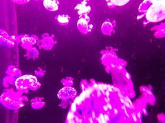 -多彩贵州城极地海洋世界