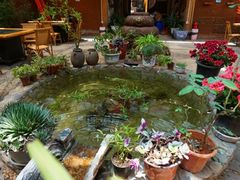 -香香腊排骨.野生菌火塘总店(束河店)