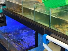 -阿妹小海鲜(下角店)