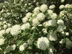 -长春公园(普阳街道)