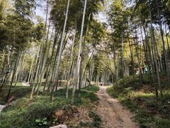 -东明山森林公园