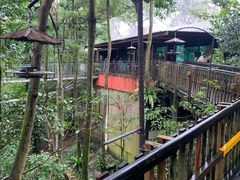 -新加坡飞禽公园