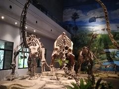 -自贡恐龙博物馆