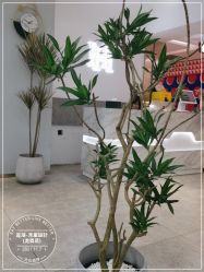 -禾曼造型