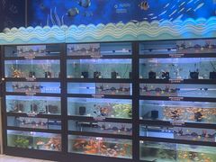 -大润发(姑嫂树店)