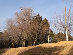 -北京西山国家森林公园