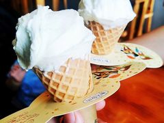 -野人牧坊Gelato(天津南开大悦城店)