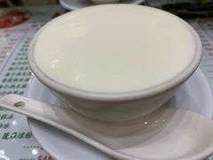 姜撞奶-义顺牛奶公司(新马路老店)