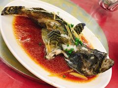 清蒸石斑鱼-三亚老渔民海鲜店
