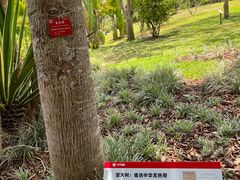 -中国科学院西双版纳热带植物园
