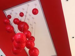 -向阳松鼠(南园店)