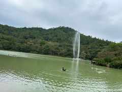 -广州白江湖森林公园