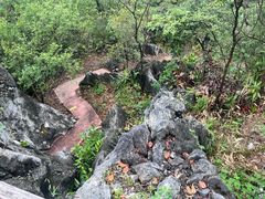 -千岛湖石林