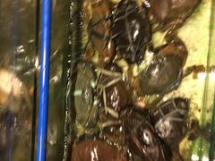 -Isla Sugbu Seafood City