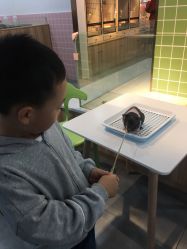 -Moni星球萌宠·小马宝莉·灵蛇·高端高阶全萌宠互动体验俱乐部(红豆国际广场店)