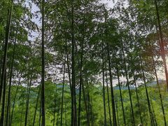 -东天目山风景区