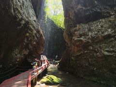 -牛背梁国家森林公园