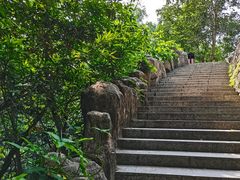 -火炉山森林公园
