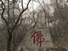 -北山公园