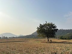 -风云岭森林公园