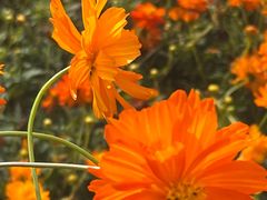 -南通洲际绿博园