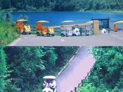 -武陵山森林公园