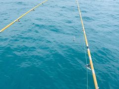 -小猫钓鱼海钓俱乐部(椰梦长廊店)