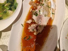 -金美华轩(东方路齐鲁店)