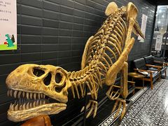 -FAIRYLAND龙族星球主题餐厅(凯丹广场店)