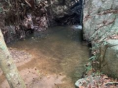 -阳台山森林公园