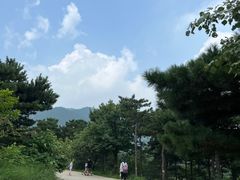 -北京西山国家森林公园