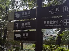 -合肥野生动物园