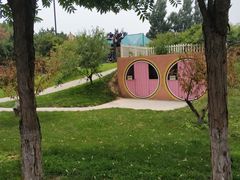 -欢乐松鼠谷