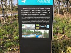 -滴水湖