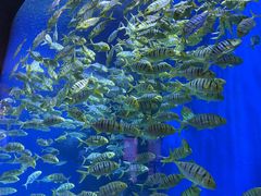 -成都浩海立方海洋公园