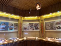 -海南槟榔谷黎苗文化旅游区