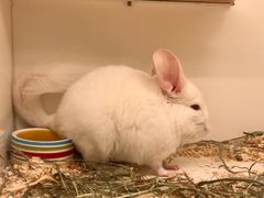 -龙猫仔乐园(惠福东路店)