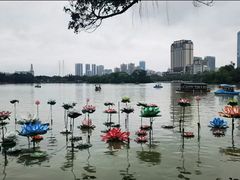 -惠州西湖丰渚园
