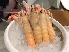 -和彩放题餐厅(酒仙桥店)