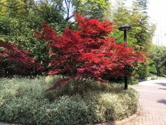 -苏州河梦清园环保主题公园