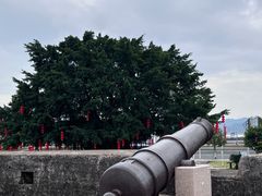 -石炮台公园
