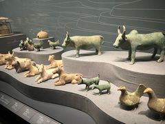 -广西壮族自治区博物馆