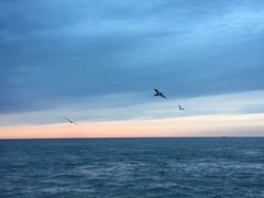 -海驴岛(荣成市)