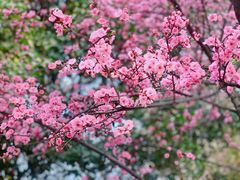 -重庆彩云湖湿地公园