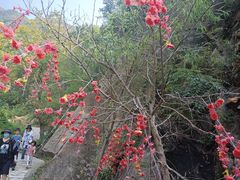 -灵溪风景区