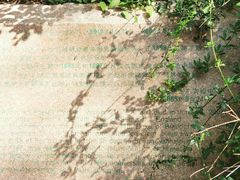 -北京麋鹿生态实验中心